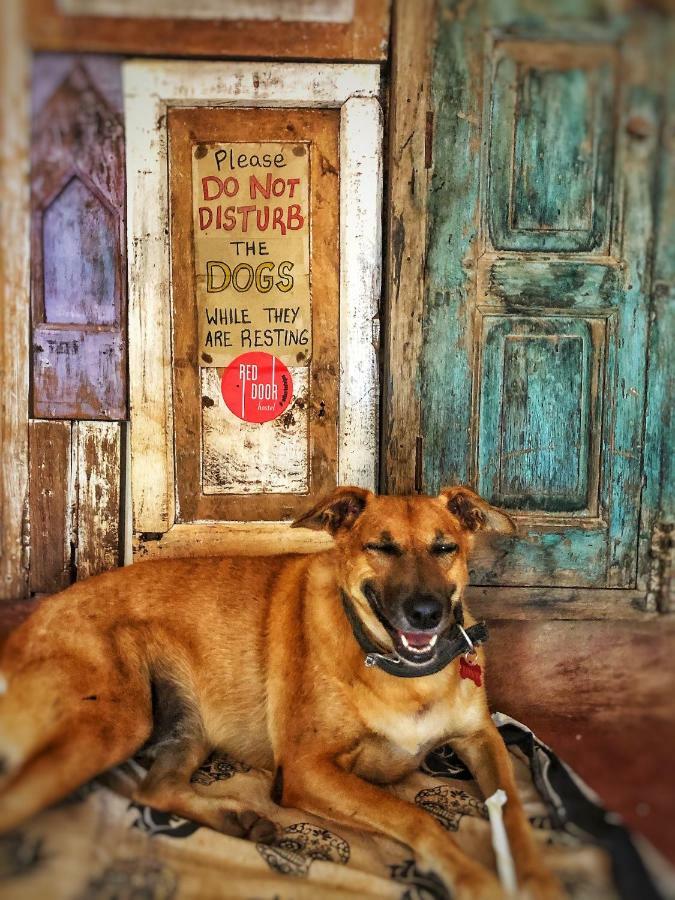 Red Door Hostel Andzsuna Kültér fotó